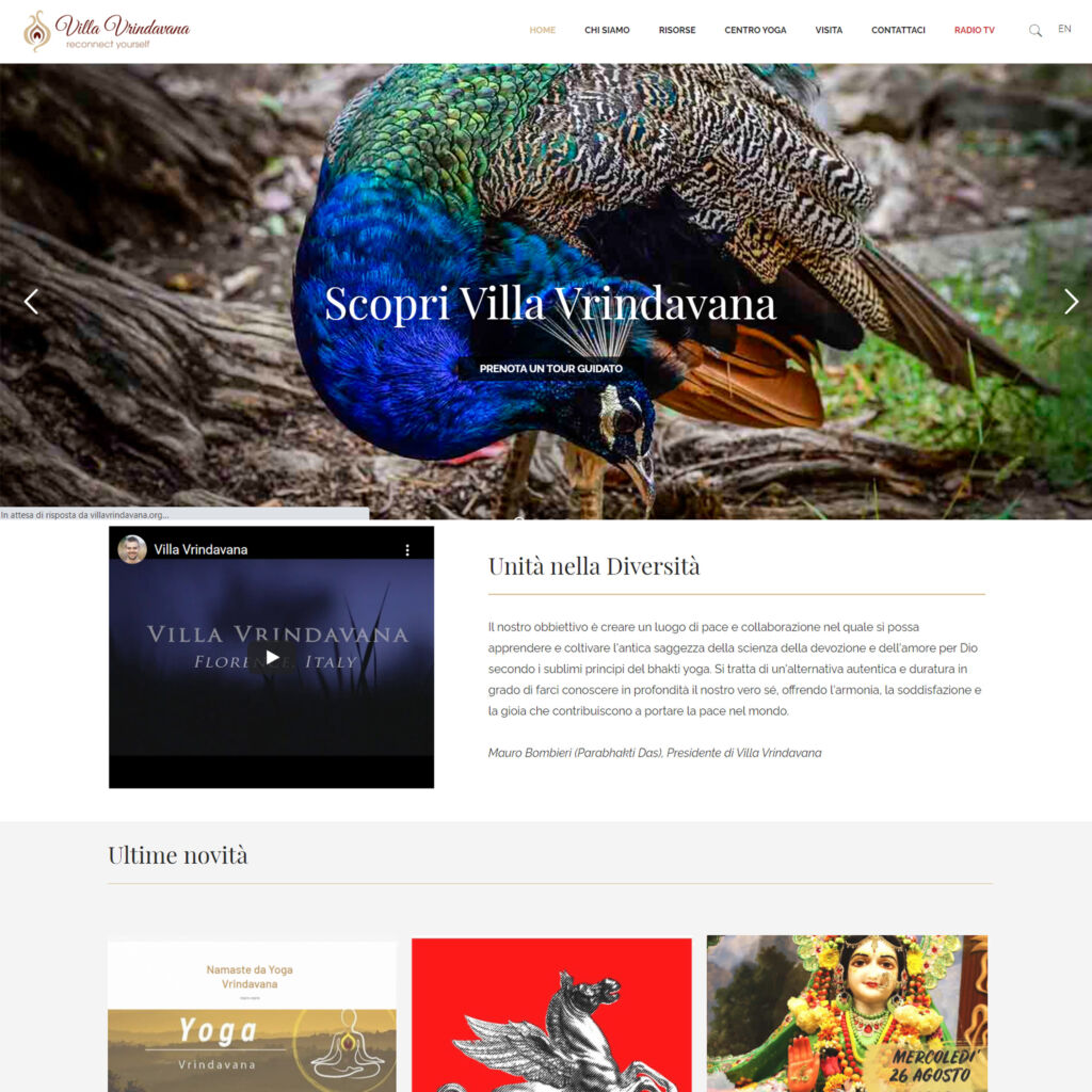 Realizzazione siti web e siti di Ecommerce